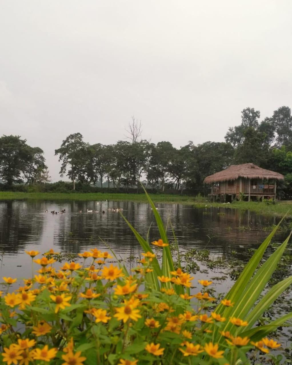 Yagdrasill Bamboo Cottage Bamungaon Exteriör bild